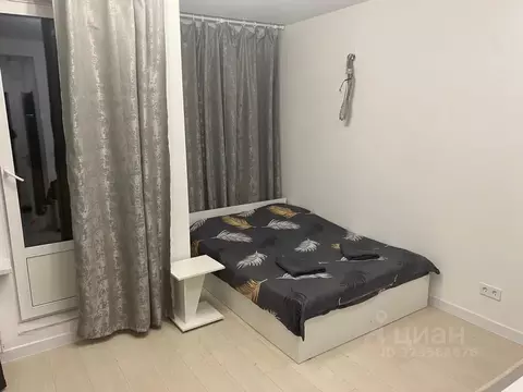 Студия Московская область, Пушкино ул. Александра Меня, 5 (25.0 м)