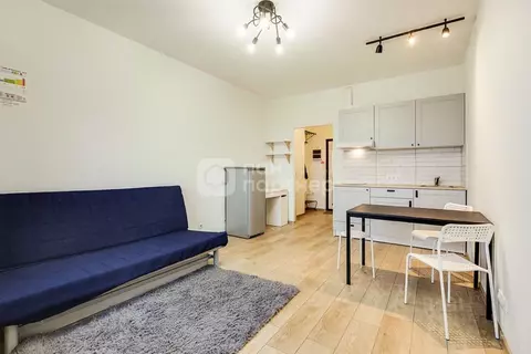 Студия Санкт-Петербург просп. Народного ополчения, 149 (25.6 м)