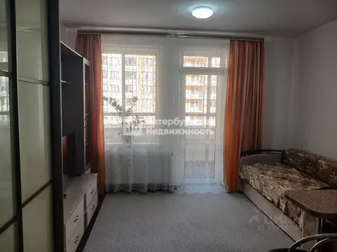 Студия Санкт-Петербург просп. Ветеранов, 175к4 (24.4 м)