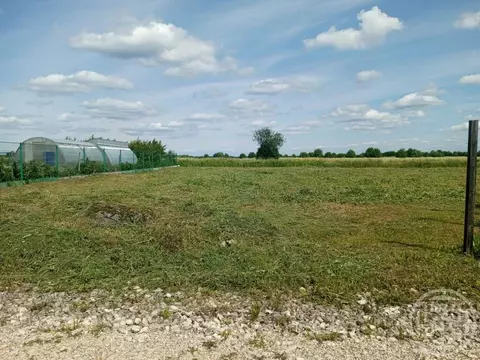 Участок в Ленинградская область, Ломоносовский район, Гостилицкое ...