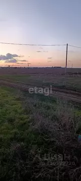 Участок в Крым, Сакский район, Молочненское с/пос, с. Витино ул. ...