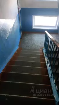 1-к кв. Алтайский край, Барнаул ул. Антона Петрова, 240 (34.0 м)