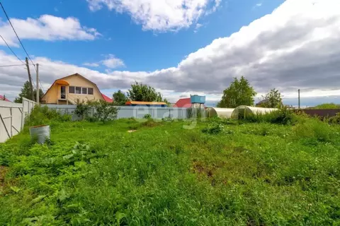 Участок в Тюменская область, Тюмень Березняки-2 садовое товарищество, ...