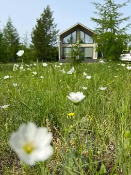 Участок в Саха (Якутия), Якутск городской округ, с. Маган  (16.0 сот.)