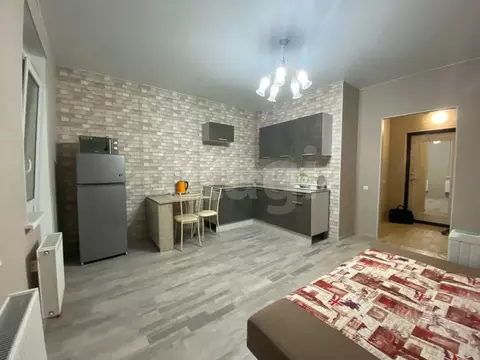 Студия Санкт-Петербург Усть-Славянка тер., ул. Заводская, 15 (24.0 м)