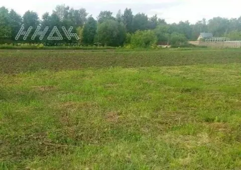 Участок в Нижегородская область, Богородский муниципальный округ, д. ...