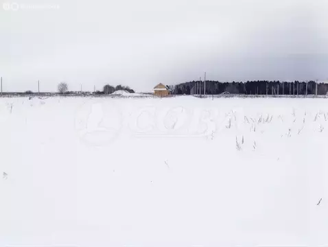 Участок в Свердловская область, Тугулымский муниципальный округ, село ...