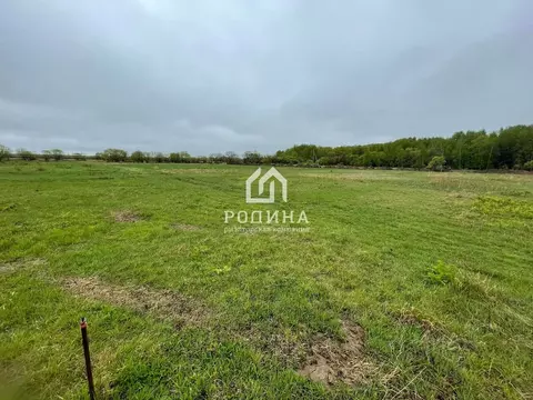 Участок в Хабаровский край, Хабаровский район, Мичуринское с/пос, с. ...