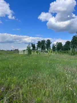 Участок в Алтайский край, Первомайский район, пос. Новый ул. Есенина ...