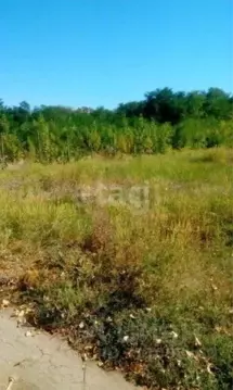 Участок в Ростовская область, Мясниковский район, Краснокрымское ...