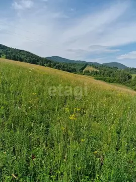 Участок в Алтайский край, Алтайский район, с. Макарьевка  (2951.9 ...