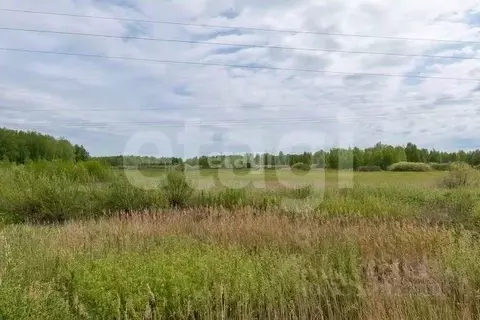 Участок в Тюменская область, Нижнетавдинский муниципальный округ, ...