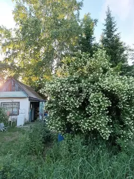 Участок в Омск, территория СОСН Берёзка, 11-я аллея (6.1 м)