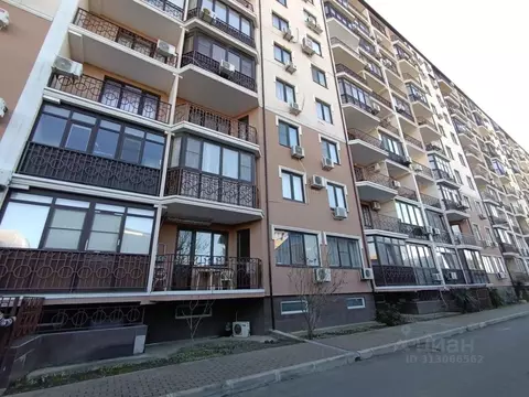 Помещение свободного назначения в Краснодарский край, Анапа Таманская ...