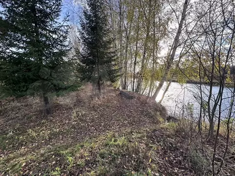 Участок в Костромская область, Красносельский район, Шолоховское ...