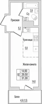 1-к кв. Псковская область, Псковский муниципальный округ, д. ...