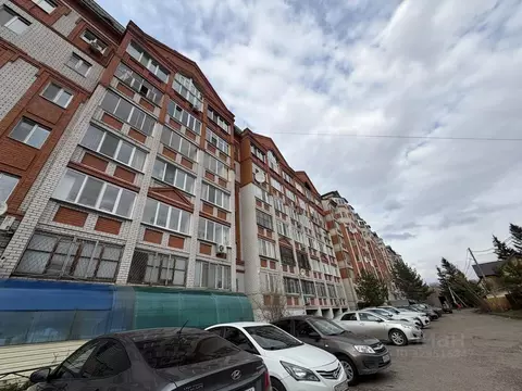 Помещение свободного назначения в Татарстан, Казань ул. Масгута ...