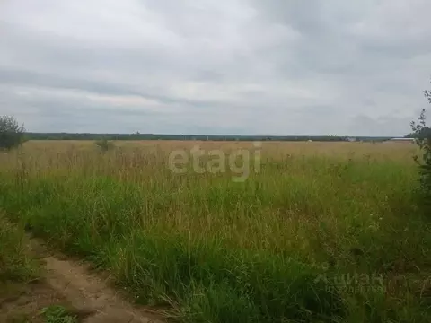 Участок в Ярославская область, Ярославский муниципальный округ, д. ...