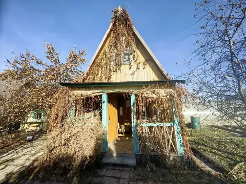 Дом в Новосибирская область, Новосибирск Маяк СНТ, ул. Приозерная (40 ...