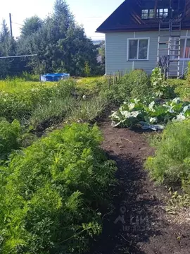 Дом в Алтайский край, Белокуриха Виноградная ул., 31 (115 м)