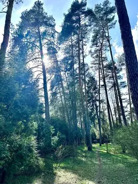 Участок в Московская область, Одинцовский городской округ, пос. ...