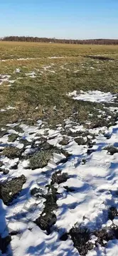 Участок в Белгородская область, Белгород ул. Есенина (156.0 сот.)