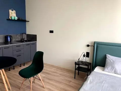 Студия Санкт-Петербург просп. Энергетиков, 8к2 (27.0 м)