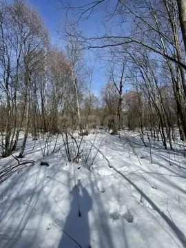Участок в Костромская область, Костромской район, Самсоновское с/пос, ...