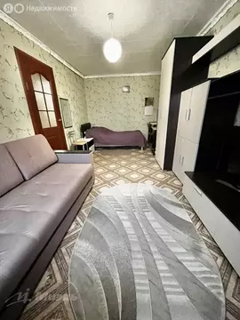 1-комнатная квартира: Орехово-Зуево, улица Барышникова, 17 (30 м)