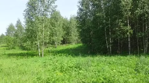 Участок в Тверская область, Западнодвинский район, д. Дуброво ...