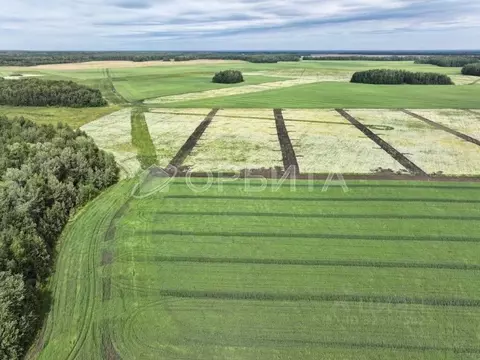 Участок в Тюменская область, Тюменский муниципальный округ, ...