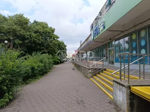 Помещение свободного назначения в Краснодарский край, Новороссийск ...