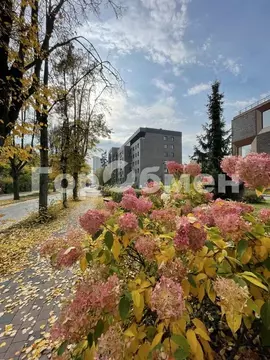 2-к кв. Московская область, Красногорск ул. Согласия, 19 (57.0 м)