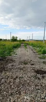 Участок в Алтай, Майминский район, с. Подгорное ул. Магистральная (6.0 ...