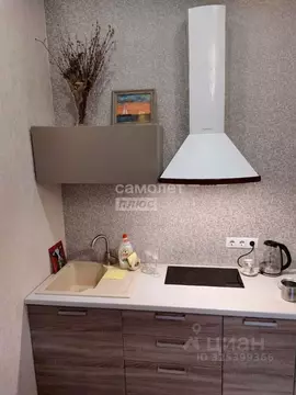 Студия Краснодарский край, Сочи ул. Яна Фабрициуса, 2/26А (28.0 м)