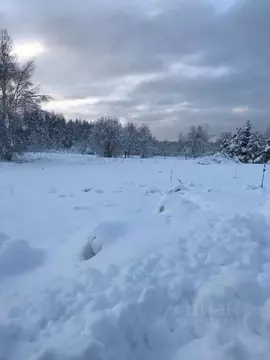 Участок в Московская область, Орехово-Зуевский городской округ, д. ...