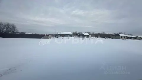 Участок в Тюменская область, Нижнетавдинский муниципальный округ, ...