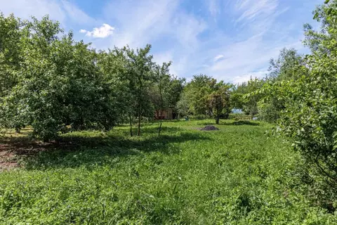 Участок в Калининградская область, Гурьевский муниципальный округ, СНТ ...