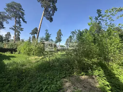 Продается участок в г. Пушкино