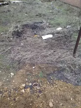 Участок в Ростовская область, Мясниковский район, с. Чалтырь  (5.0 ...