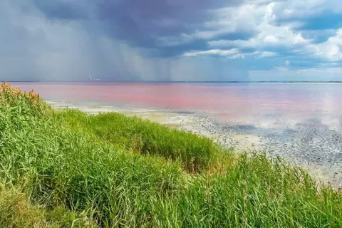 Участок в Крым, Сакский район, с. Лесновка  (6.0 сот.)