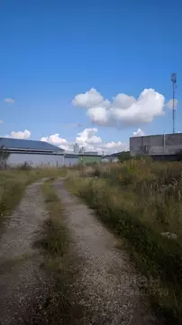 Участок в Калининградская область, Гурьевский муниципальный округ, ...