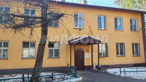 3-к кв. Новосибирская область, Новосибирск ул. Гастелло, 31 (36.7 м)