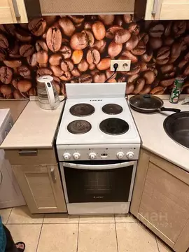 1-к кв. Московская область, Раменский муниципальный округ, с. Софьино ...