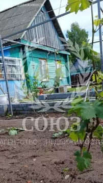 Дом в село Хвастовичи, Рабочая улица, 36 (72 м)