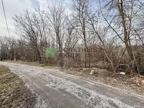 Участок в Белгородская область, Яковлевский муниципальный округ, Плод ...