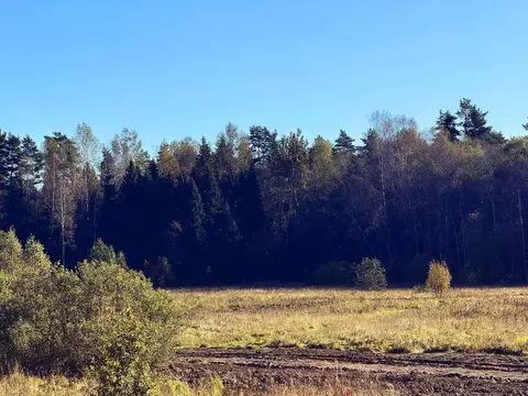Участок в Московская область, Дмитровский муниципальный округ, Ерыково ...