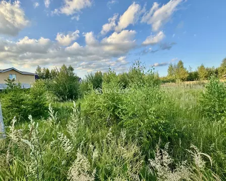 Участок в Нижегородская область, Богородский муниципальный округ, д. ...