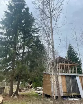 Участок в Выборгский район, Рощинское городское поселение, СНТ Карелия ...