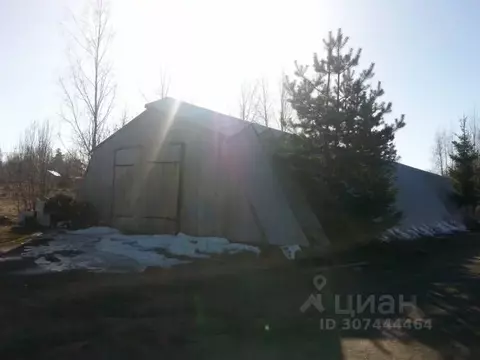 Производственное помещение в Ленинградская область, Кингисеппский ...